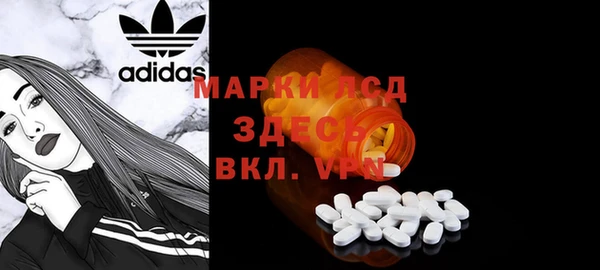 гашик Арсеньев