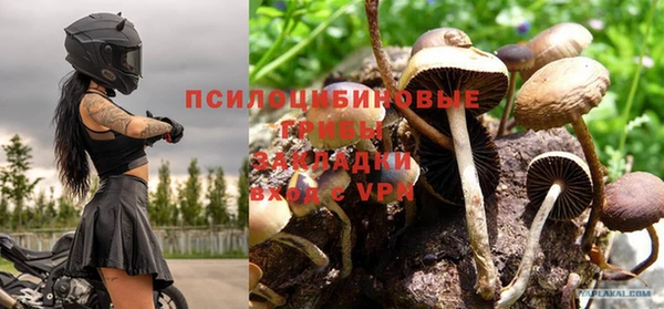 гашик Арсеньев