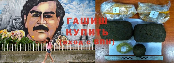 гашик Арсеньев