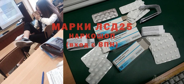 гашик Арсеньев