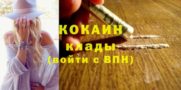 гашик Арсеньев