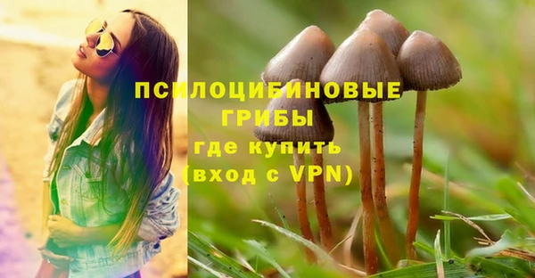 гашиш Аркадак