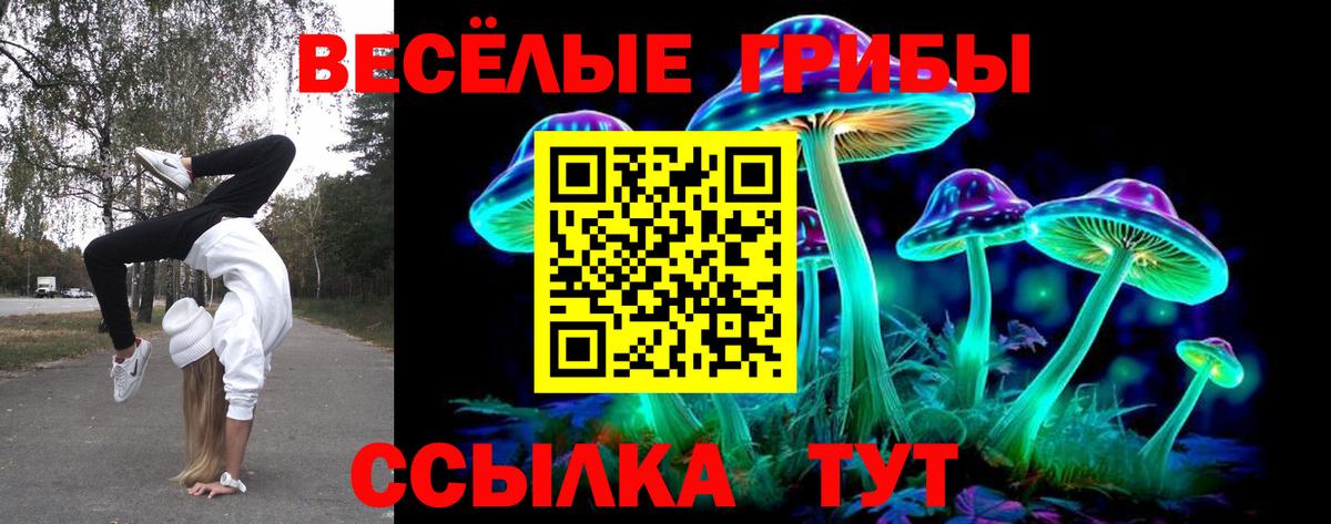 Аша  Галлюциногенные грибы прущие грибы  Вход с VPN 